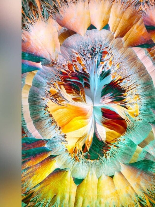 Health benefits of Amino Acids.