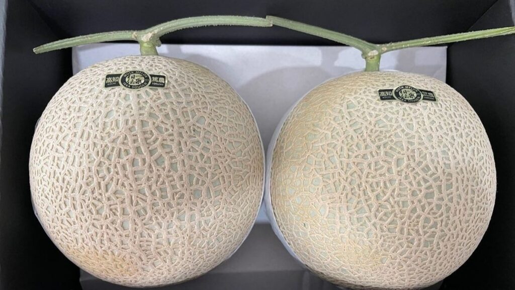 Exploring the Delectable World of Musk Melon