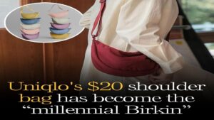 The Millennial Birkin: Luxury Redefined for a New Generation